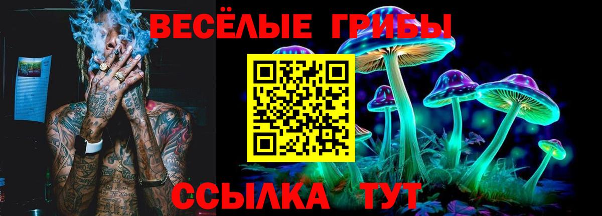Галлюциногенные грибы мицелий  Галлюциногенные грибы MAGIC MUSHROOMS  Абакан  Вход с VPN 